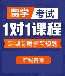 鸡巴肏屄老年人留学考试一对一精品课